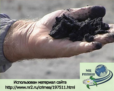 http://www.oil-slime.ru/ | 2